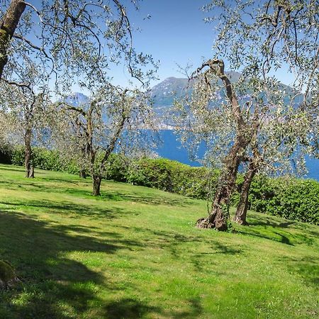 Villa Dismero-Un Oasi Di Lusso E Privacy Brenzone sul Garda Luaran gambar