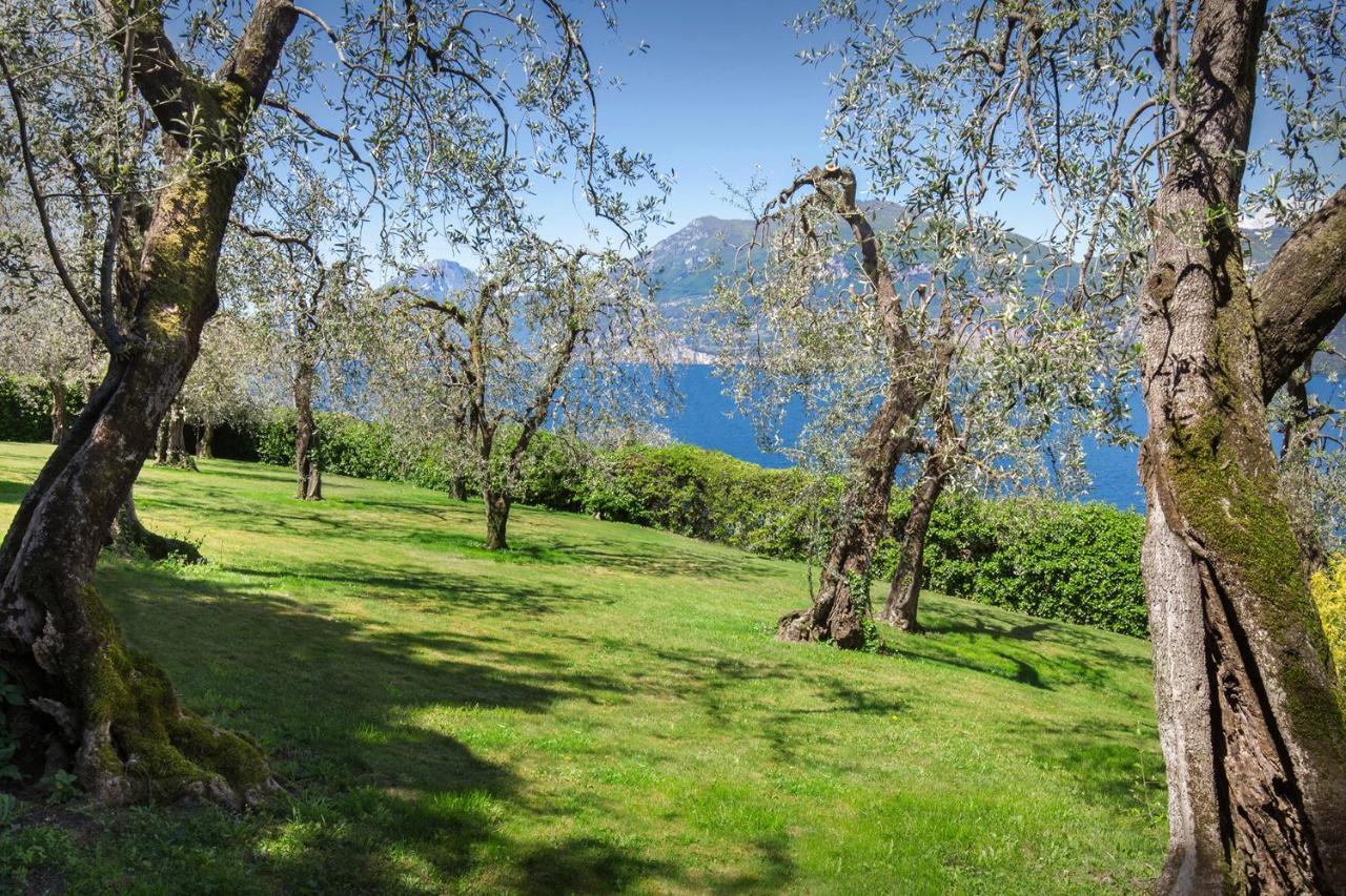 Villa Dismero-Un Oasi Di Lusso E Privacy Brenzone sul Garda Luaran gambar